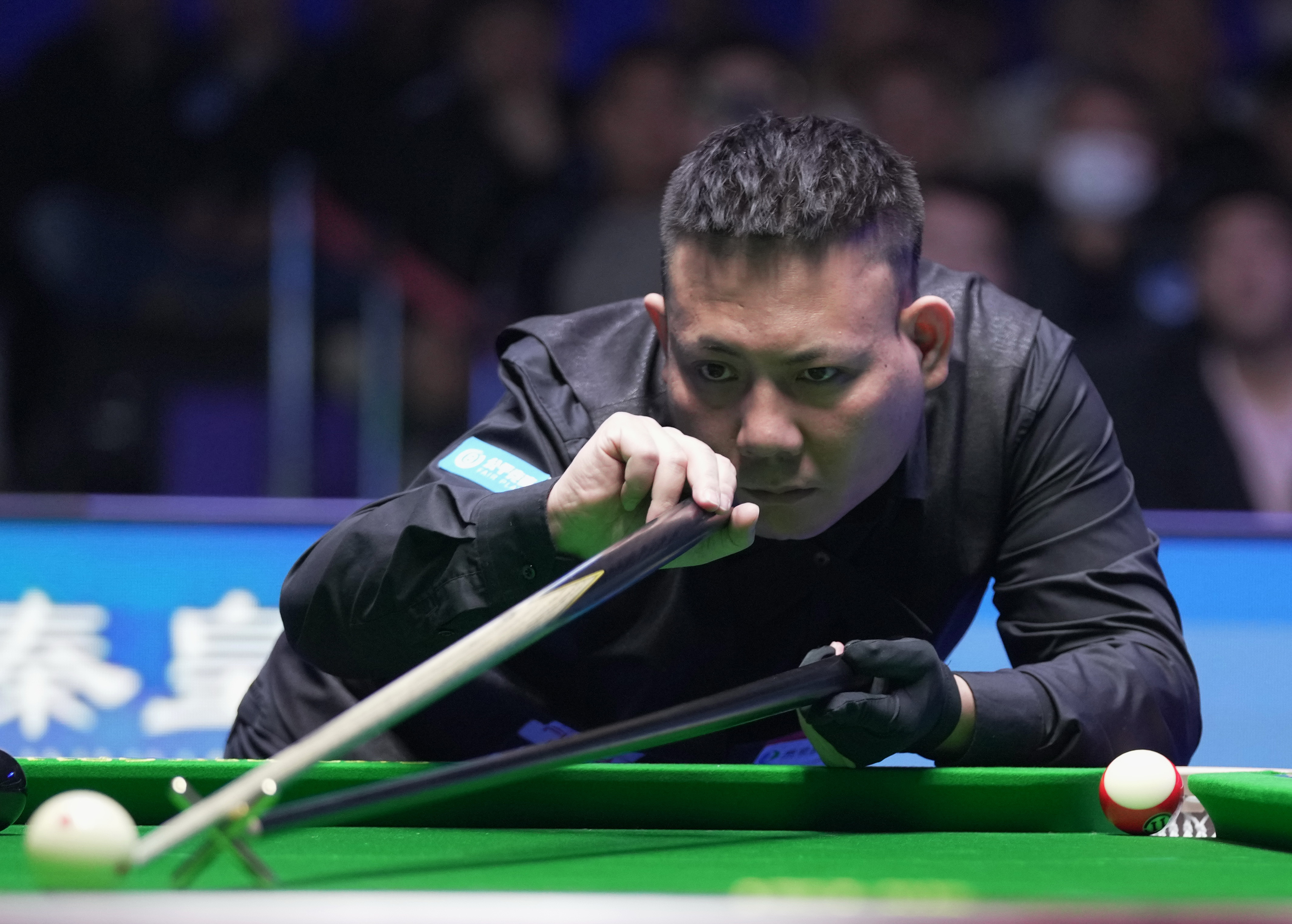 性表达可能 性表达可能